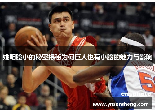姚明脸小的秘密揭秘为何巨人也有小脸的魅力与影响