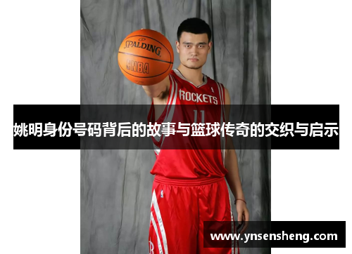 姚明身份号码背后的故事与篮球传奇的交织与启示